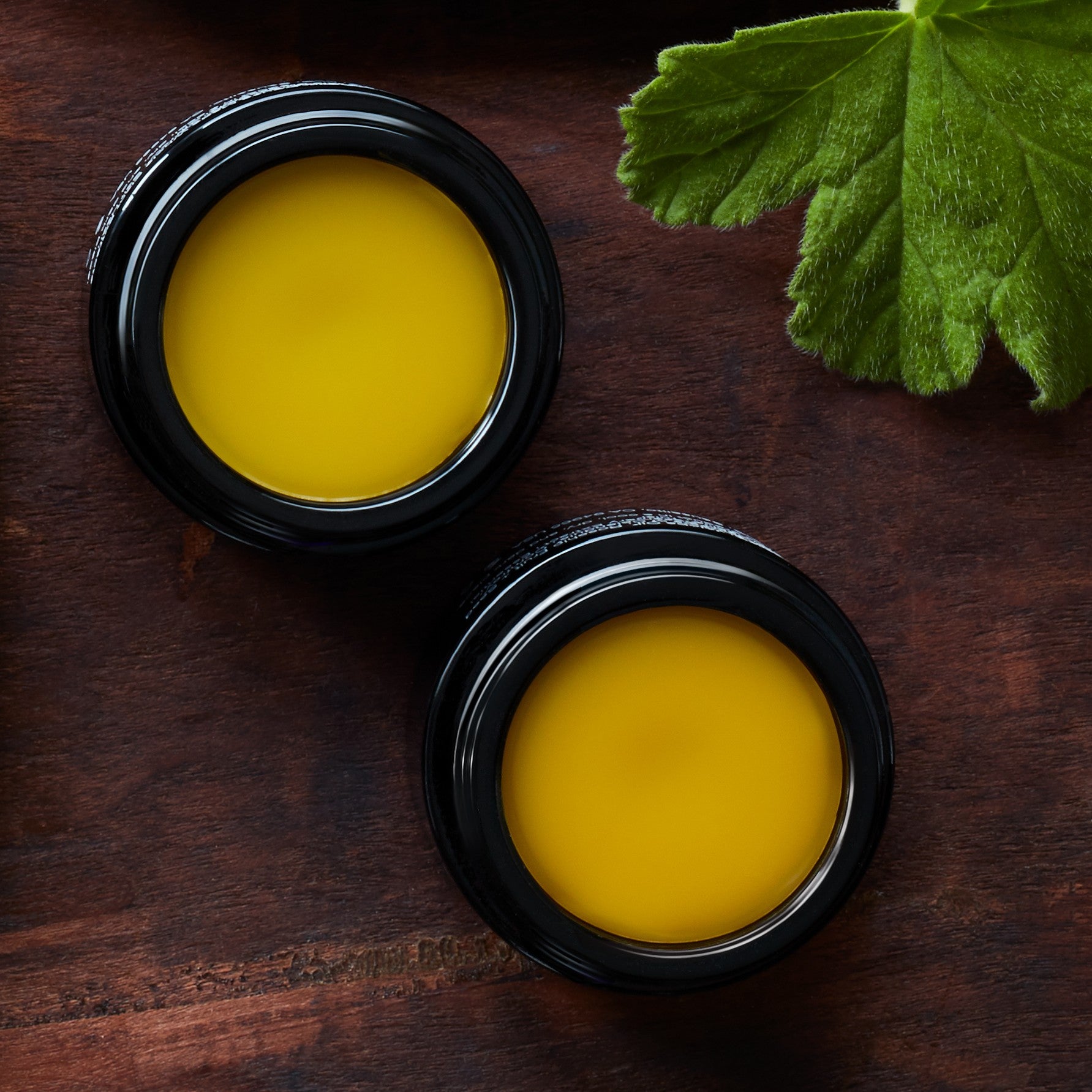 Laurel Lip Treatment Citrus Spice