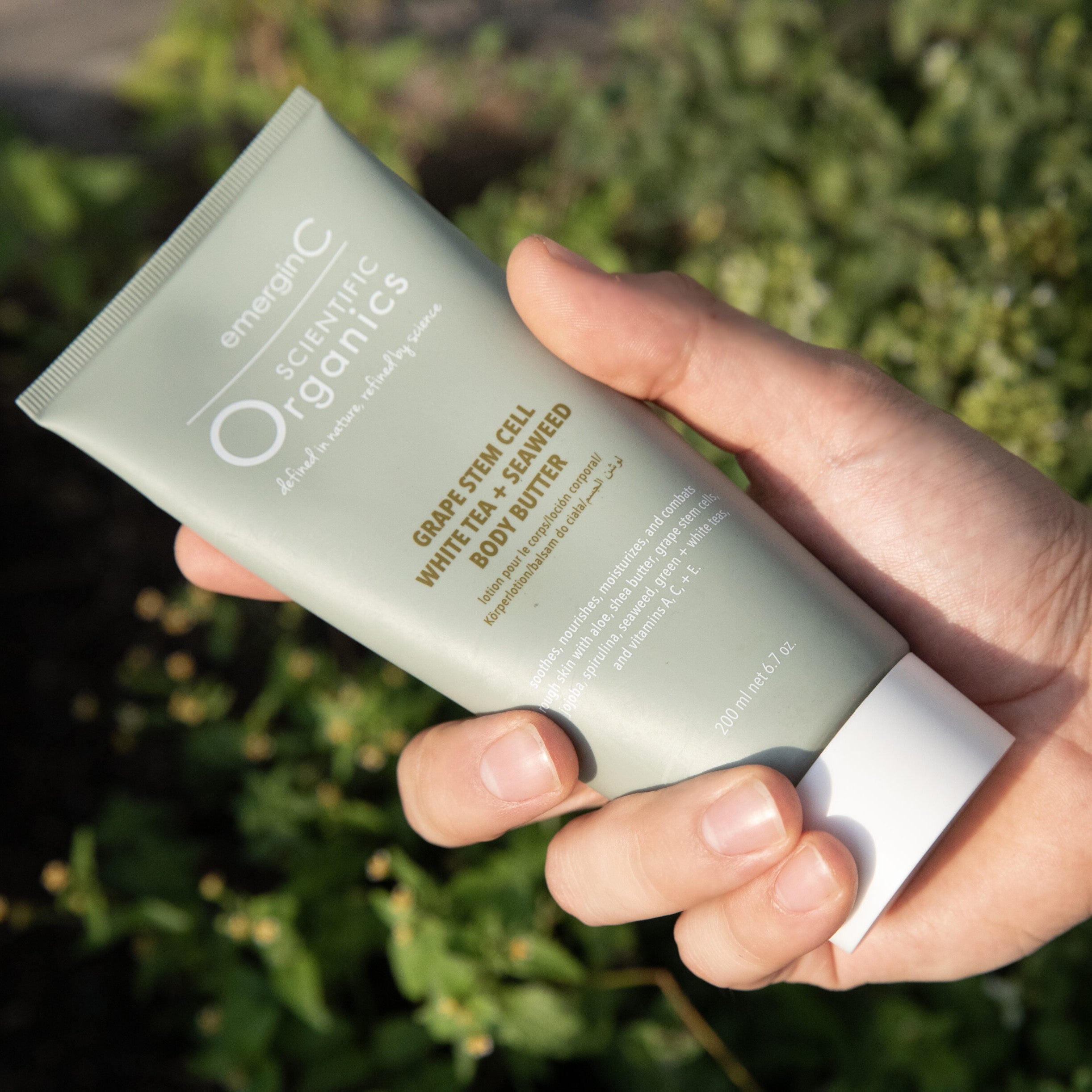 EmerginC Organics Grape Stem Cell White Tea + Seaweed Body Butter