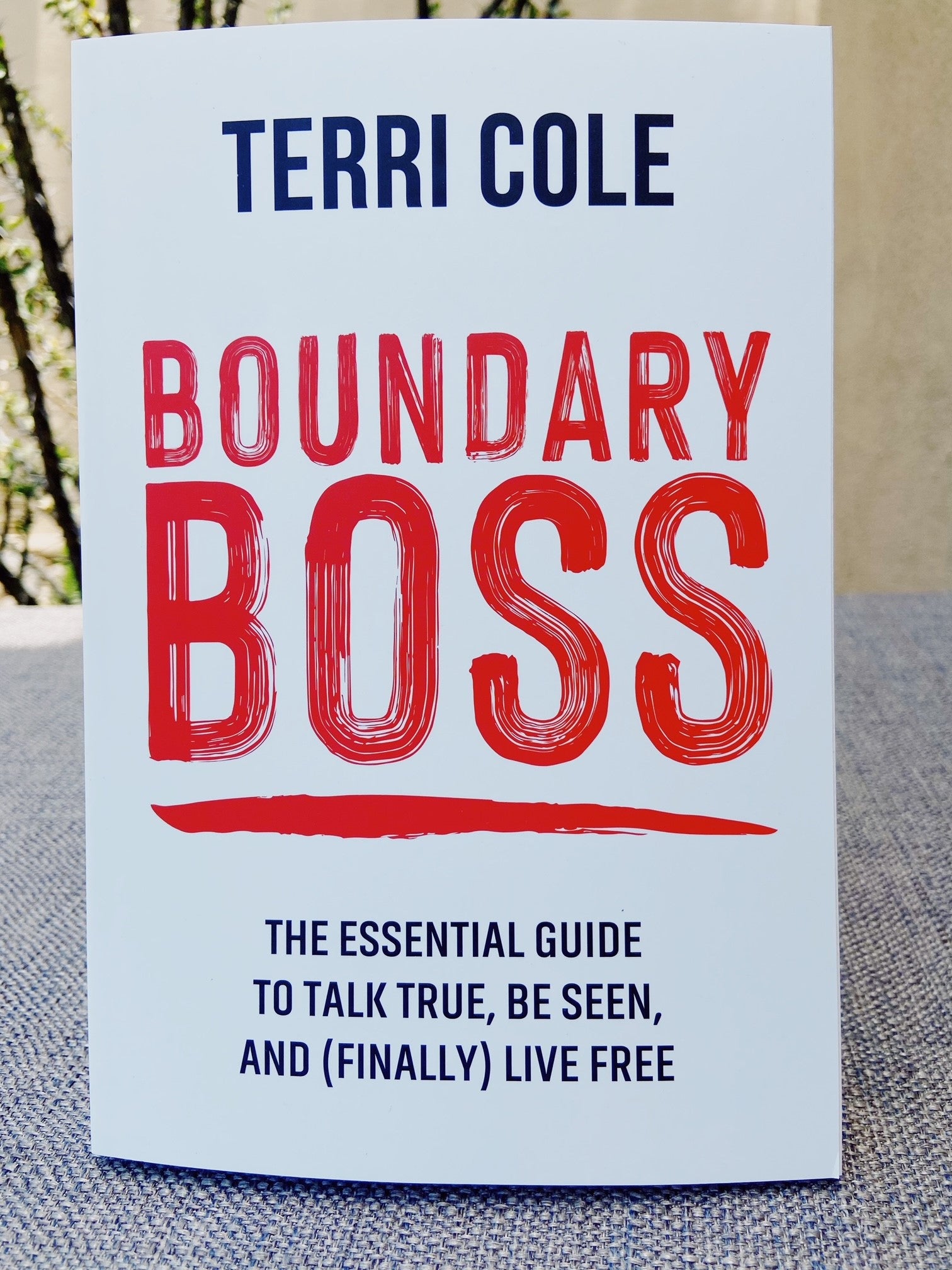 Boundary Boss by Terri Cole