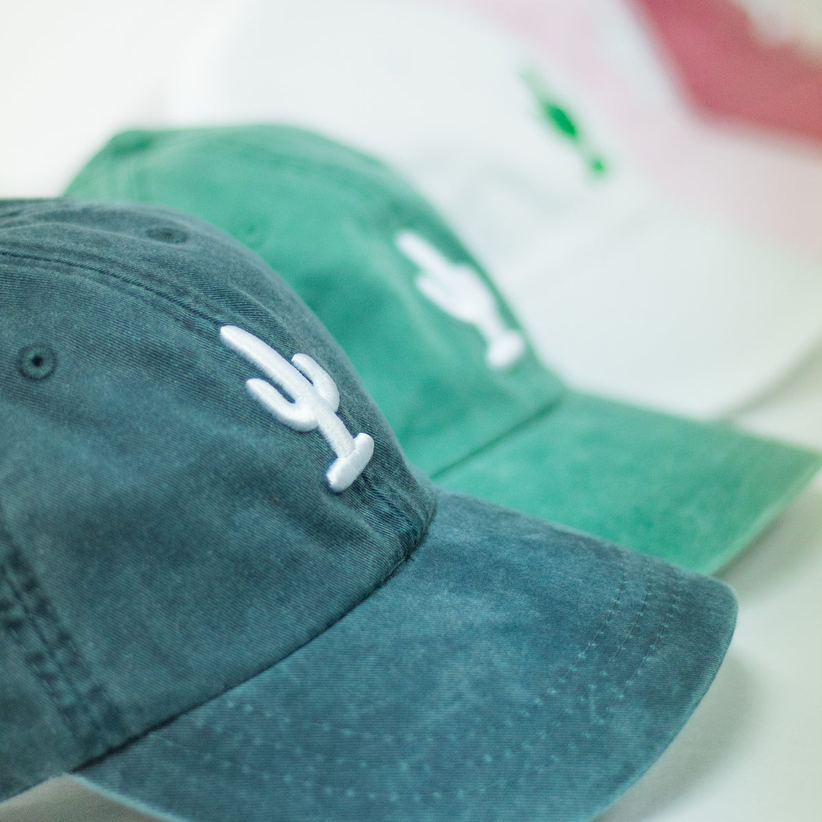 Saguaro Cactus Hat