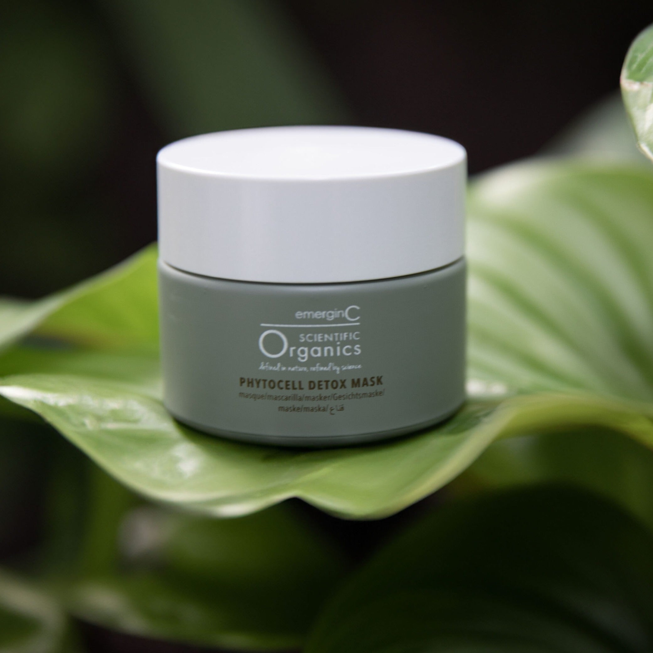 EmerginC Organics Phytocell Detox Mask