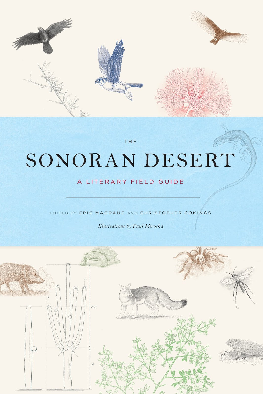 The Sonoran Desert